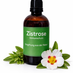 Anita`s Zistrose - Tinktur