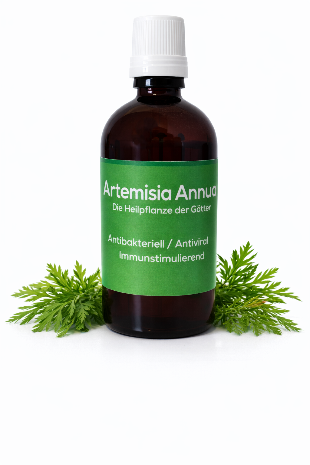 Anita`s Beifuß Tinktur (Artemisia annua) – äußerliche Anwendung